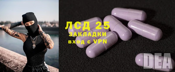 дживик Елабуга