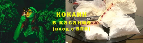 дживик Елабуга