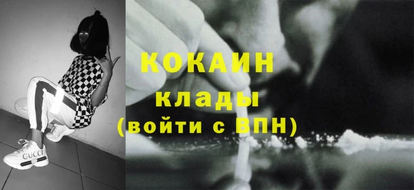 дживик Елабуга