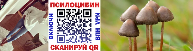 Галлюциногенные грибы Psilocybine cubensis  Жуков 
